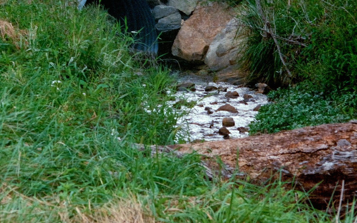 Arroyo que cruza bajo un camino a través de una alcantarilla